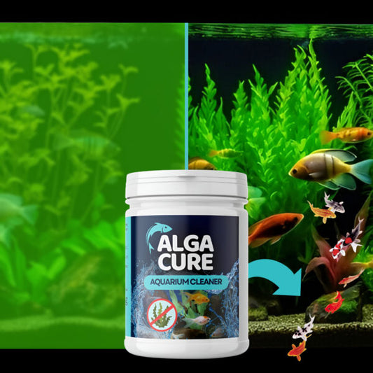 AquaPure™ – Nettoyant naturel pour aquarium